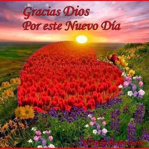 Meet your Posher, Adela